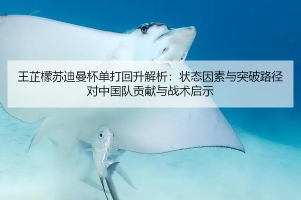 王芷檬苏迪曼杯单打回升解析：状态因素与突破路径对中国队贡献与战术启示